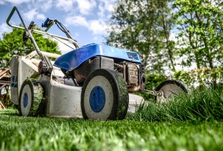 Brush / Grass Cutter