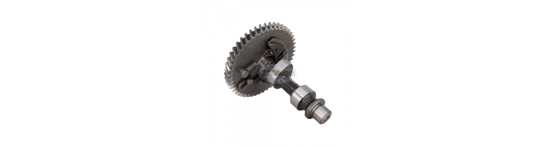 Camshaft