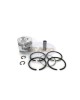 For 70.75mm Bore Chinese 170F 170 F 4.5HP Diesel Engine Piston Kit Assy Ring Set Oversize 0.75 030