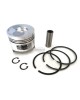 For 79.00mm Bore Chinese 178F 178 F 6HP Diesel Engine Piston Kit Assy Ring Set Oversize 1.00 040