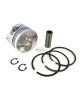 For 79.00mm Bore Chinese 178F 178 F 6HP Diesel Engine Piston Kit Assy Ring Set Oversize 1.00 040