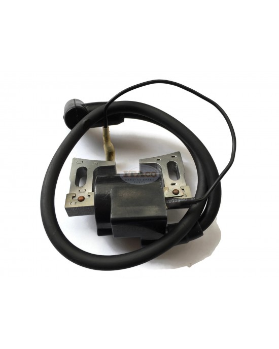 Ignition Coil CDI CD.I C.D.I Magneto Module Assy 234-70124-21 for Robin Subaru EY28 EY28D EY28B Wisconsin Engine