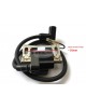 Ignition Coil CDI CD.I C.D.I Magneto Module Assy 234-70124-21 for Robin Subaru EY28 EY28D EY28B Wisconsin Engine