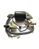 OEM Made in Japan 30500-887-303, 30560-883-015 replaces Honda G150 G200 G300 5HP E1500 ED1000 FR 500 HS50 Ignition Magneto Coil Assy Lawn Mower Trimmer Motor Engine OEM Made in Japan 30500-887-303, 30560-883-015 replaces Honda G150 G200 G300 5HP E1500 ED1000 FR 500 HS50 Ignition Magneto Coil Assy Lawn Mower Trimmer Motor Engine
