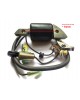 OEM Made in Japan 30500-887-303, 30560-883-015 replaces Honda G150 G200 G300 5HP E1500 ED1000 FR 500 HS50 Ignition Magneto Coil Assy Lawn Mower Trimmer Motor Engine OEM Made in Japan 30500-887-303, 30560-883-015 replaces Honda G150 G200 G300 5HP E1500 ED1000 FR 500 HS50 Ignition Magneto Coil Assy Lawn Mower Trimmer Motor Engine