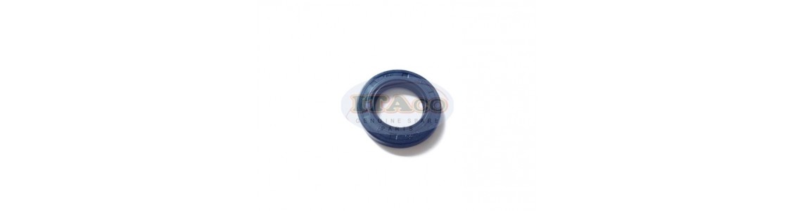 Oil Seal