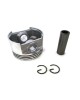 Piston W/Pin Clip 277-23401-03 H3 For Robin Subaru EX17 EX21 EP17 EK17 MK200 6HP 67MM STD Rammer Lawn Trimmer Motor Engine Piston W/Pin Clip 277-23401-03 H3 For Robin Subaru EX17 EX21 EP17 EK17 MK200 6HP 67MM STD Rammer Lawn Trimmer Motor Engine