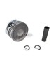 Piston w/ Pin Clip for Honda GX120 EG1400 F401 501 60MM 13101-ZH7-010 000 and 4HP replacement lawnmower Engines Piston w/ Pin Clip for Honda GX120 EG1400 F401 501 60MM 13101-ZH7-010 000 and 4HP replacement lawnmower Engines