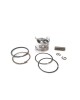 Piston Assy Ring Set Brushcutter for Honda GX35, GX35NT, HHT355- 4 Stroke Engine Brush Cutter Trimmer 39MM 13101-Z0Z-000 Motor Engine