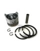 Piston Assy Ring Set 796-11631-03-93 5JG-11603-00-00 Compatible For Yamaha EF2000 MF180 YP20 YP30 65MM 4-stroke Multi-purpose Engine