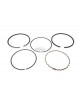 Original Made in Japan Piston Ring Rings Set 13010-887-004 STD 64MM replaces Honda G150 GV150 EG1000 F400 G/GV/HS-35 HR/HRA-21,WA/WB20-30 4 cycle Original Made in Japan Piston Ring Rings Set 13010-887-004 STD 64MM replaces Honda G150 GV150 EG1000 F400 G/GV/HS-35 HR/HRA-21,WA/WB20-30 4 cycle