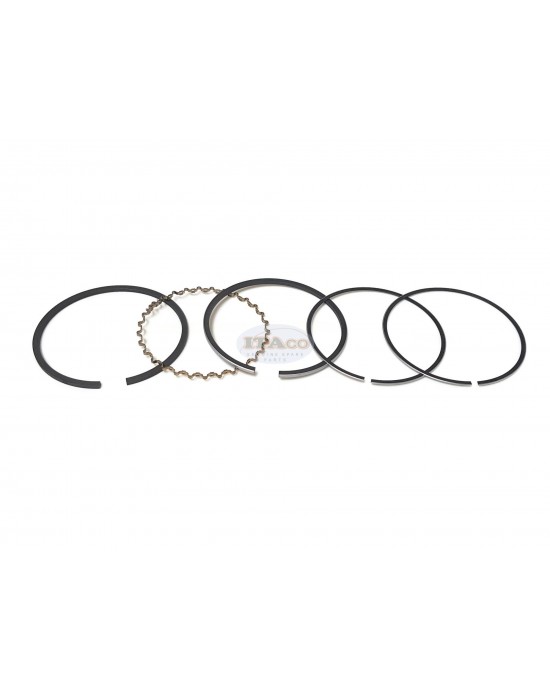 Made in Japan OEM Genuine 13011-YA0-004 013 889 O/S 0.25 67.25MM Honda G200 GV200 E EG ED EM 1500 1000 F FR 500 HS50 WA WB 30 Piston Ring Rings Set Made in Japan OEM Genuine 13011-YA0-004 013 889 O/S 0.25 67.25MM Honda G200 GV200 E EG ED EM 1500 1000 F FR 500 HS50 WA WB 30 Piston Ring Rings Set