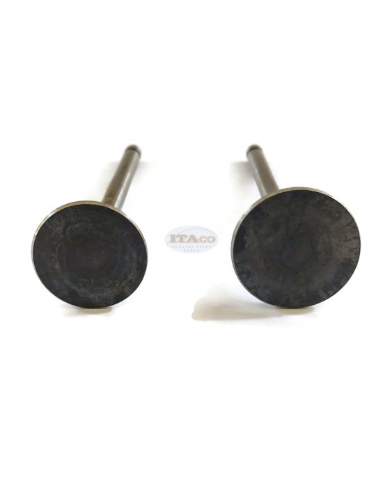 Exhaust Intake Suction Valve Set Robin Subaru Fiji EY25 EY27-2 W 7hp-7.5hp Lawnmower Motor Engine