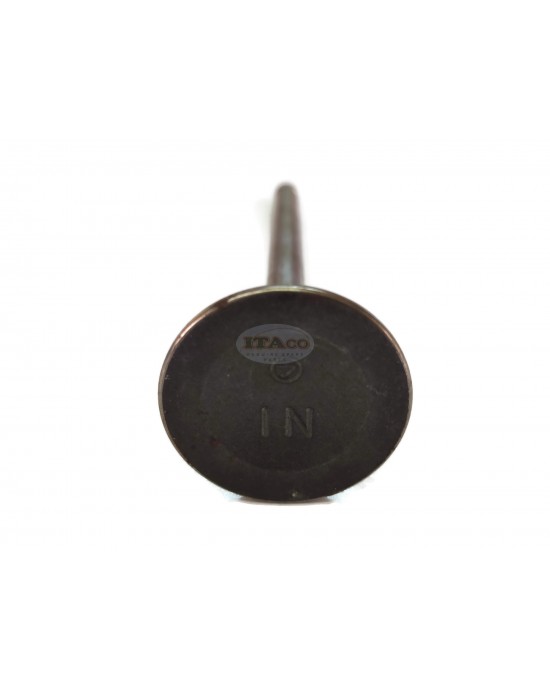 OEM Made in Japan Intake Suction In Valve 224-33401-03 compatible Robin Subaru Motor EY35 EY40 Lawnmower Trimmer Engine OEM Made in Japan Intake Suction In Valve 224-33401-03 compatible Robin Subaru Motor EY35 EY40 Lawnmower Trimmer Engine