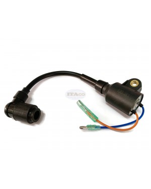 Boat Motor 2.5F-01.03.01.00 Ignition Coil Assy for Hidea Outboard 2.5HP 2.5F T2.5 2-stroke Engine