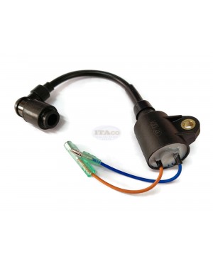 Boat Motor T3.6-04000300 Ignition Coil Assy for Parsun Makara Outboard T2.5 T3.6 HDX3.6 2-stroke