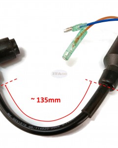 Boat Motor 3F0-06153-0 M 3F0060491M 3F0061530M 3FO-01653 Ignition Coil Assy Magneto for Tohatsu Nissan Outboard M NS 2.5HP 3.5HP 2-Stroke Engine