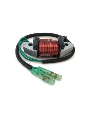 Boat Motor 61N-81313-09 T20-06040003 Lighting Coil for Yamaha Parsun Makara Outboard C 25HP 30HP 2-stroke Boats Engine