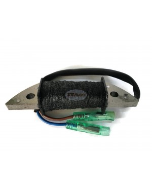 Boat Motor Charge Coil T15-04000200 TE15-05000200 for Parsun Makara Outboard 2-Stroke TE15 TE9.9 Engine