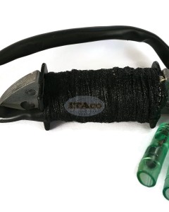 Boat Motor Charger Charge Coil for Yamaha Outboard E 9.9HP 15HP Unit Engine 6B4-85520-00 2 stroke Engine