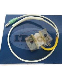 Boat Motor Parsun Makara Outboard Coil, Pulser Assy T36-04040300 T 40HP 36HP 2-stroke Boats Engine