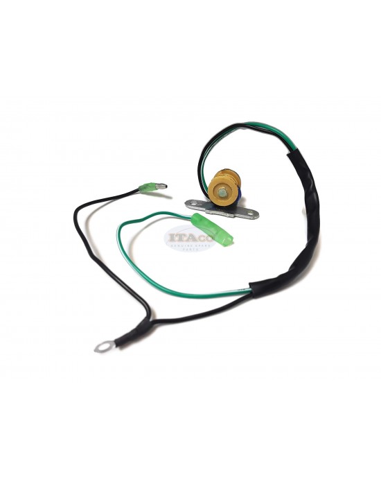 Boat Motor Pulser Pusler Coil Assy 6L5-85592-M0 For Yamaha Outboard 3 Malta 3HP 2 stroke Engine