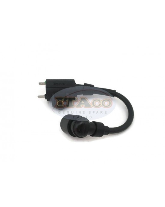 Boat Motor 2.5F-01.03.01.00 Ignition Coil Assy for Hidea Outboard 2.5HP 2.5F T2.5 2-stroke Engine Boat Motor 2.5F-01.03.01.00 Ignition Coil Assy for Hidea Outboard 2.5HP 2.5F T2.5 2-stroke Engine