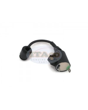 Boat Motor T3.6-04000300 Ignition Coil Assy for Parsun Makara Outboard T2.5 T3.6 HDX3.6 2-stroke