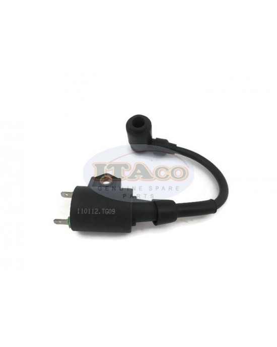 Boat Motor 2.5F-01.03.01.00 Ignition Coil Assy for Hidea Outboard 2.5HP 2.5F T2.5 2-stroke Engine Boat Motor 2.5F-01.03.01.00 Ignition Coil Assy for Hidea Outboard 2.5HP 2.5F T2.5 2-stroke Engine