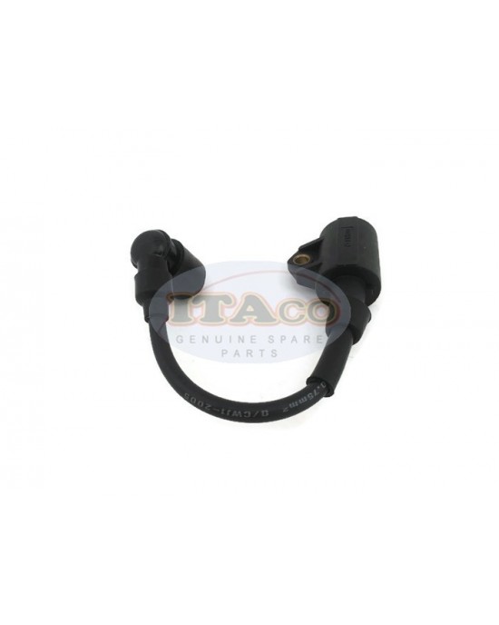 Boat Motor T3.6-04000300 Ignition Coil Assy for Parsun Makara Outboard T2.5 T3.6 HDX3.6 2-stroke