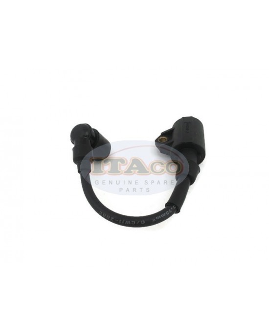 Boat Motor 2.5F-01.03.01.00 Ignition Coil Assy for Hidea Outboard 2.5HP 2.5F T2.5 2-stroke Engine Boat Motor 2.5F-01.03.01.00 Ignition Coil Assy for Hidea Outboard 2.5HP 2.5F T2.5 2-stroke Engine