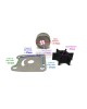 Boat Motor Outer Plate Insert Cartridge Water Pump Impeller 6L5-44323 6L5-44322 6L5-44352 For Yamaha Outboard F 3HP Malta 2/4-stroke Engine Boat Motor Outer Plate Insert Cartridge Water Pump Impeller 6L5-44323 6L5-44322 6L5-44352 For Yamaha Outboard F 3HP Malta 2/4-stroke Engine