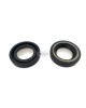 Boat Motor 2 X Oil Seal Seals 93101-13018 93101-13M11 13M27 F15-04000008 For Yamaha Parsun Makara Outboard S-Type 13 * 25 * 6 9.9HP 15HP 2 stroke Engine Boat Motor 2 X Oil Seal Seals 93101-13018 93101-13M11 13M27 F15-04000008 For Yamaha Parsun Makara Outboard S-Type 13 * 25 * 6 9.9HP 15HP 2 stroke Engine
