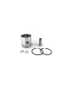 Boat Motor Piston Assy Ring Set 6L5-11631-00 for Yamaha Outboard 3HP 3S 3G 3M 3L 46MM STD 2 stroke Engine Boat Motor Piston Assy Ring Set 6L5-11631-00 for Yamaha Outboard 3HP 3S 3G 3M 3L 46MM STD 2 stroke Engine