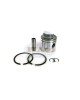 Boat Motor Piston Assy Kit Set 397487 393851 5006670 3136PS for Johnson Evinrude OMC Outboard motor Engine 2 3/16" bore size Boat Motor Piston Assy Kit Set 397487 393851 5006670 3136PS for Johnson Evinrude OMC Outboard motor Engine 2 3/16" bore size