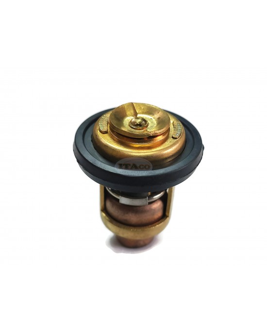 Boat Motor 66M-12411-00-00 01 6G8-12411 F15-07000031 Boat Motor Thermostat for Yamaha Outboard 4-Stroke 2.5HP 4HP 6HP 8HP 15HP 30HP 40HP 50HP 60HP 70HP 80HP Motor Engine